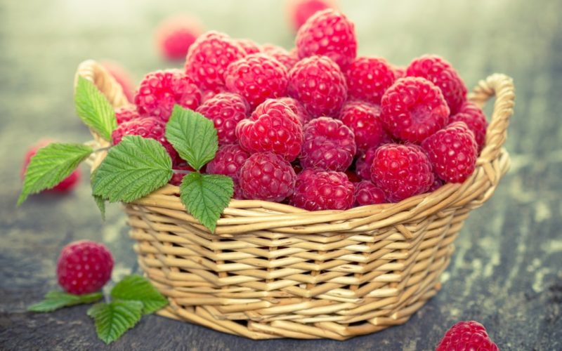 Instructions for watering raspberries in summer: frequency, abundance and methods