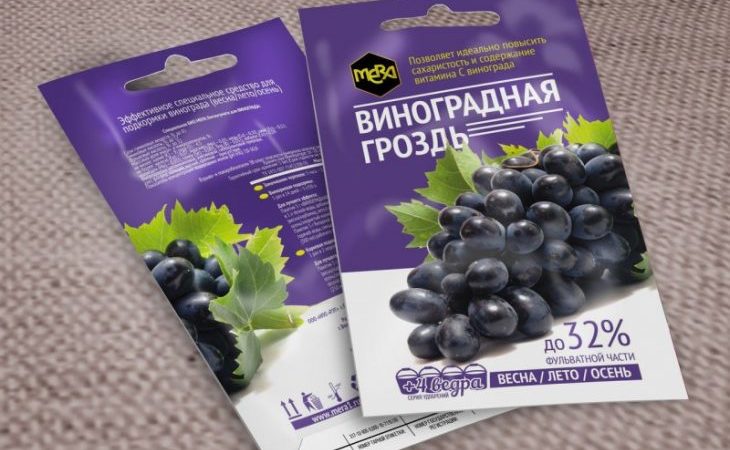 Agosto Guia e dicas de cuidados com a uva de vinicultores experientes