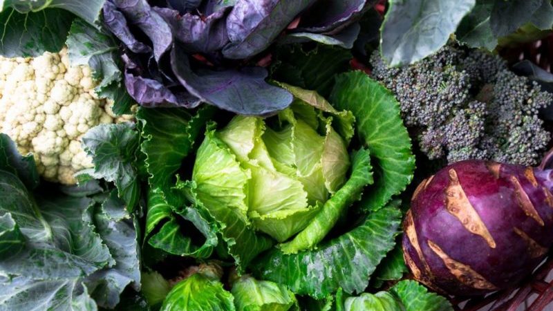 Zistite, či je v kapuste škrob a aké sú výhody a poškodenia škrobovej zeleniny