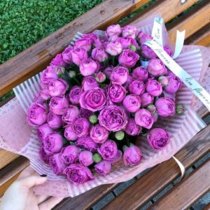 Ako pestovať fialové ruže a ktoré odrody si vybrať