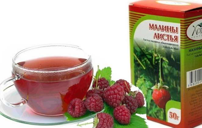 Medicinal properties and contraindications of raspberry leaves for women