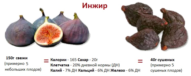 Useful properties of figs for women and the rules for its use